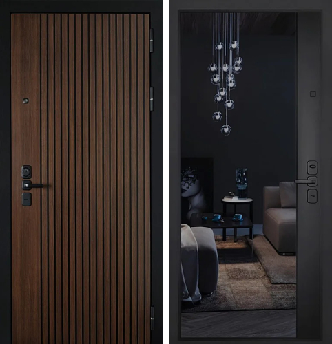 Уличная термо дверь с зеркалом №109