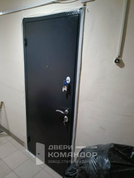 Входная дверь Torex Берн  типовая серия II-18-31/12А