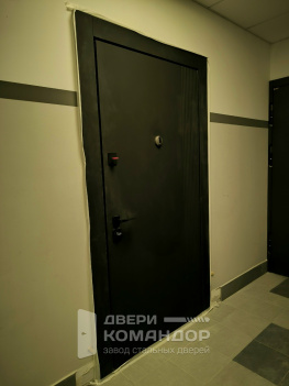 Входная дверь Stardis Trend со скрытыми петлями