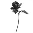 Фото «30»