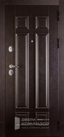 Дверь входная металлическая утепленная с терморазрывом №75 - наружная сторона