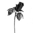 Фото «31»