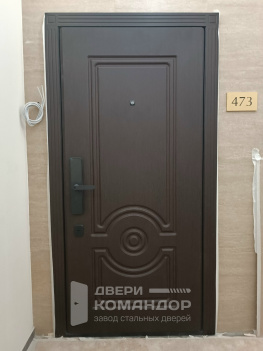 Входная дверь Stardis Expert с биометрическим замком