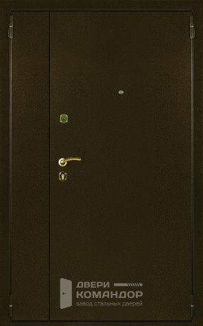 Дверь двупольная металлическая №10 - наружная сторона