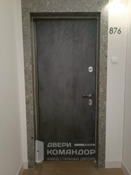 Входная железная дверь Stardis Comfort