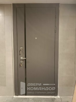 Входная дверь Президент Лайн Титан Двери Регионов