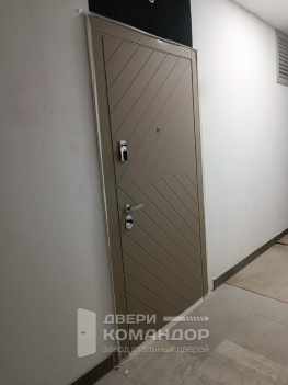 Железная входная дверь Stardis Trend